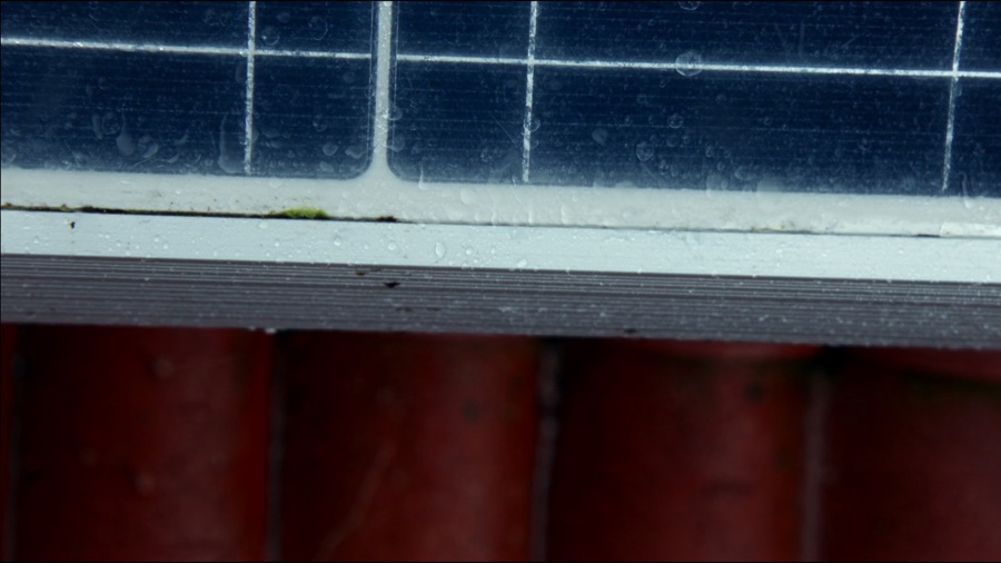 Kante eines Photovoltaikmoduls mit Regentropfen und feinem Moos in der Fuge